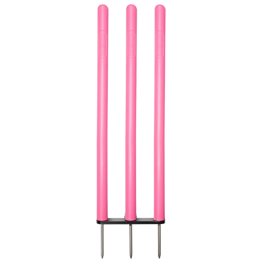 Stumps Proflex Cricket Stumps With Triple Spike - Pink